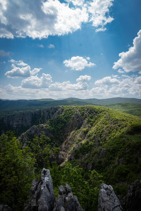 Nature